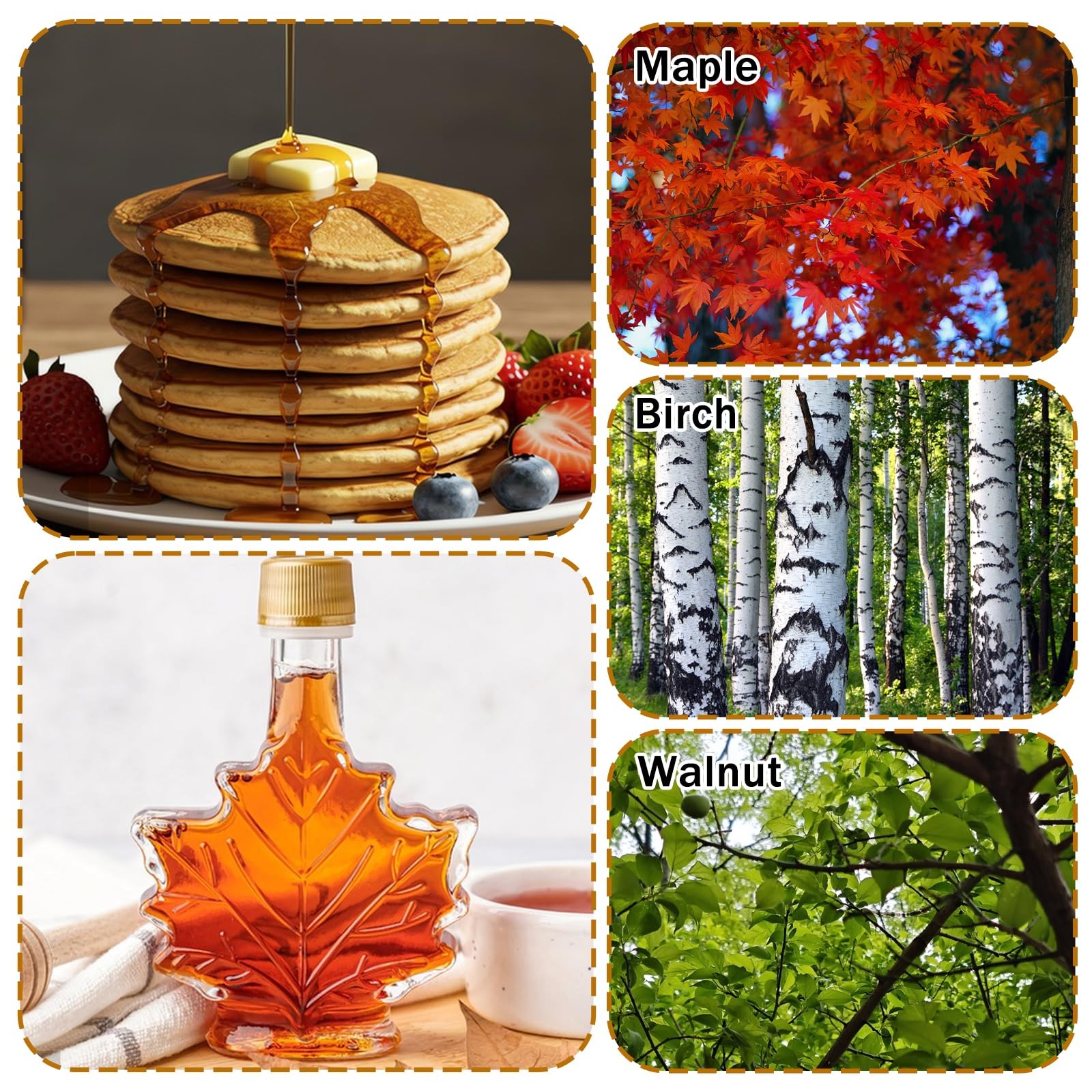 5 Set Maple Syrup Tapping Kit with 5 Buckets 16ft Food Grade Tubing 5 Taps Ma…
