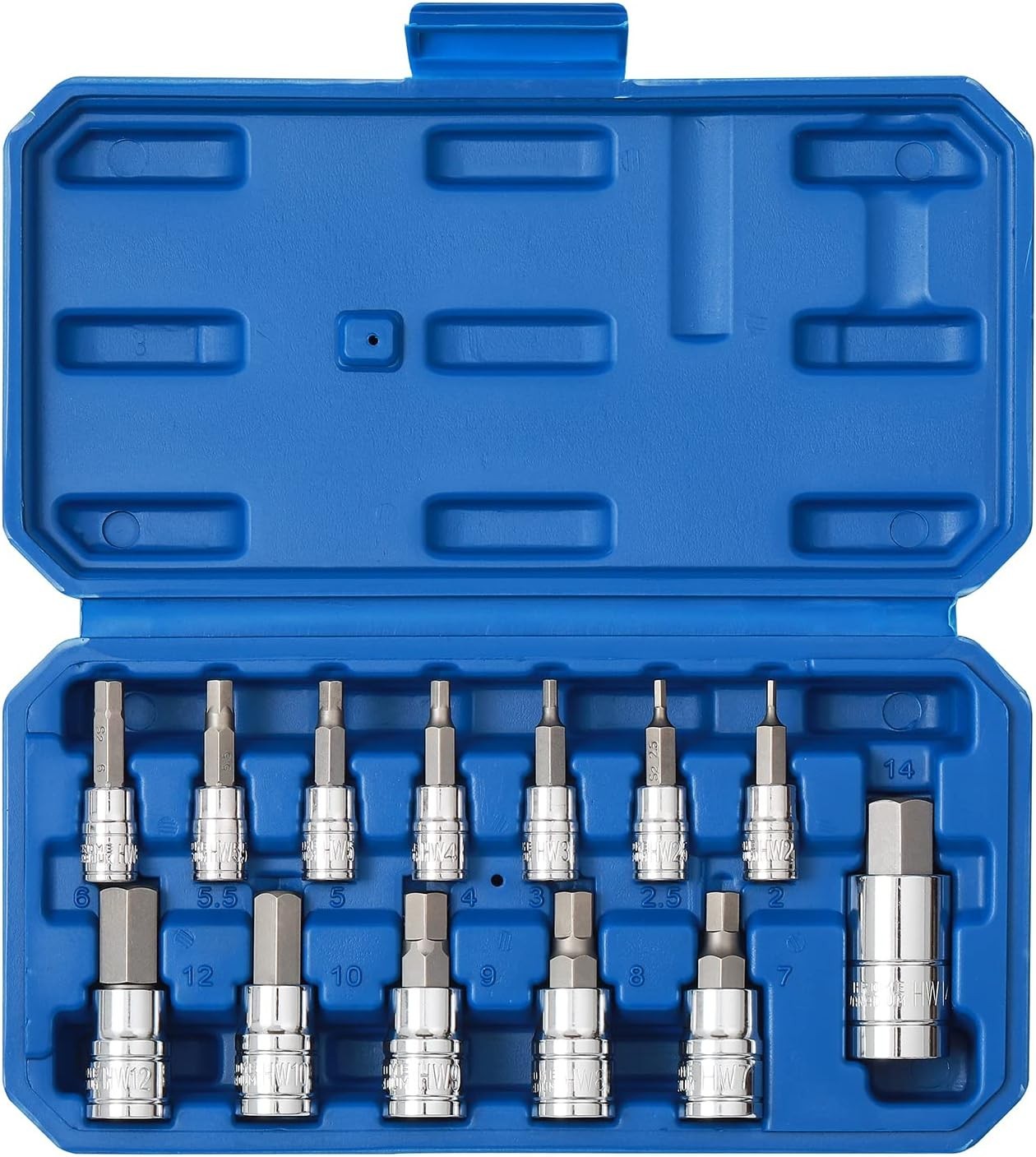 Professional 13-Piece Metric Hex Bit Socket Kit, 2mm to 14mm, with Carry Case