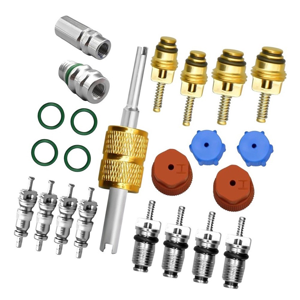 23PC Automotive AC Valve Core and Cap Kit Compatible with R12 R134a Systems