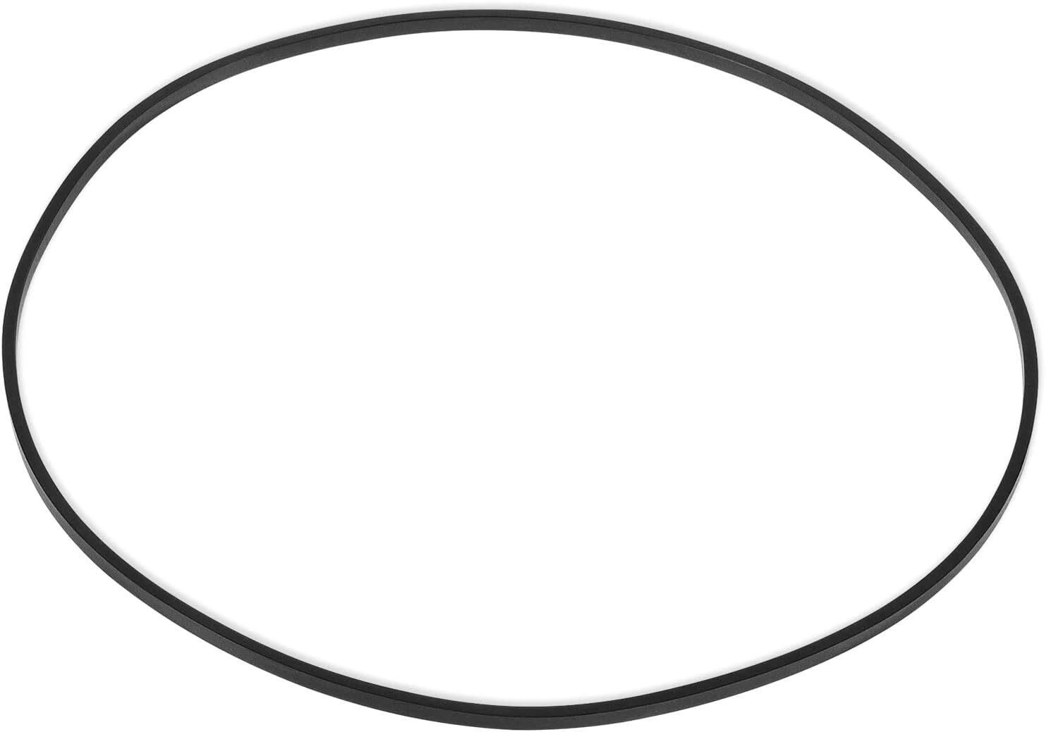 005-302-0100-00 Valve Base O-Ring Rubber,Fits Paramount 2/3/4/6/9/12 Port Module