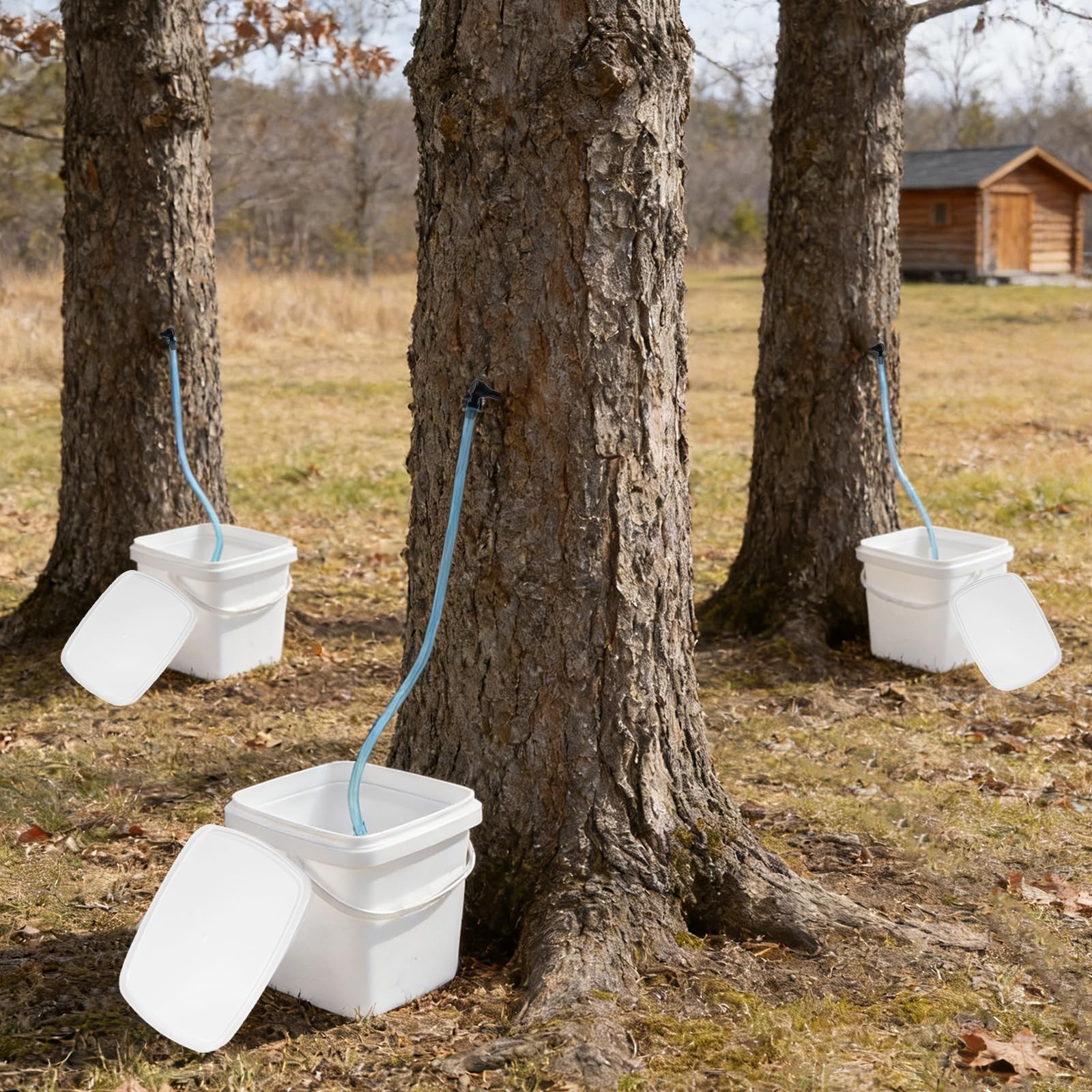 5 Set Maple Syrup Tapping Kit with 5 Buckets 16ft Food Grade Tubing 5 Taps Ma…