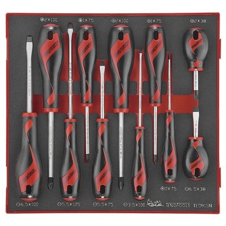 TENG TOOLS 11pc EVA Foam Flat Phillips Pozi Screwdriver Set
