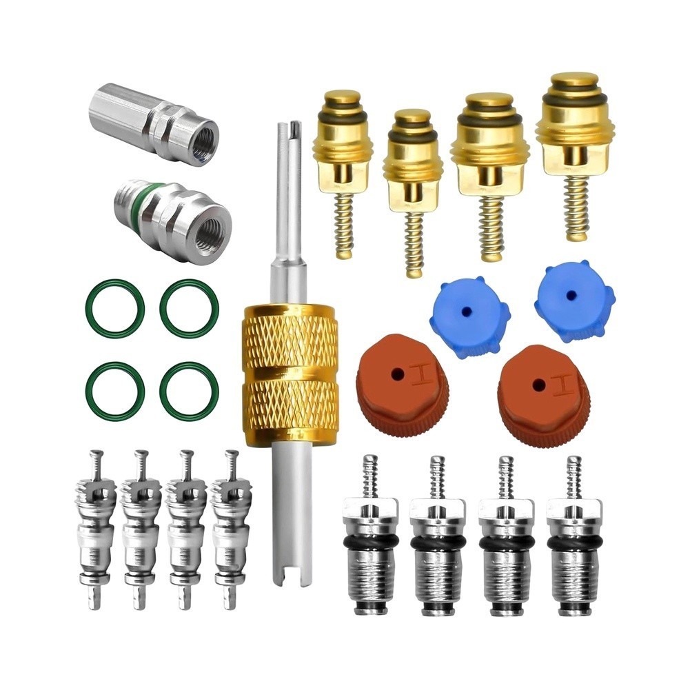 23PC Automotive AC Valve Core and Cap Kit Compatible with R12 R134a Systems
