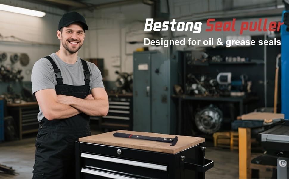 Bestong Universal Seal Puller Tool, Dual Hook Oil & Grease Remover
