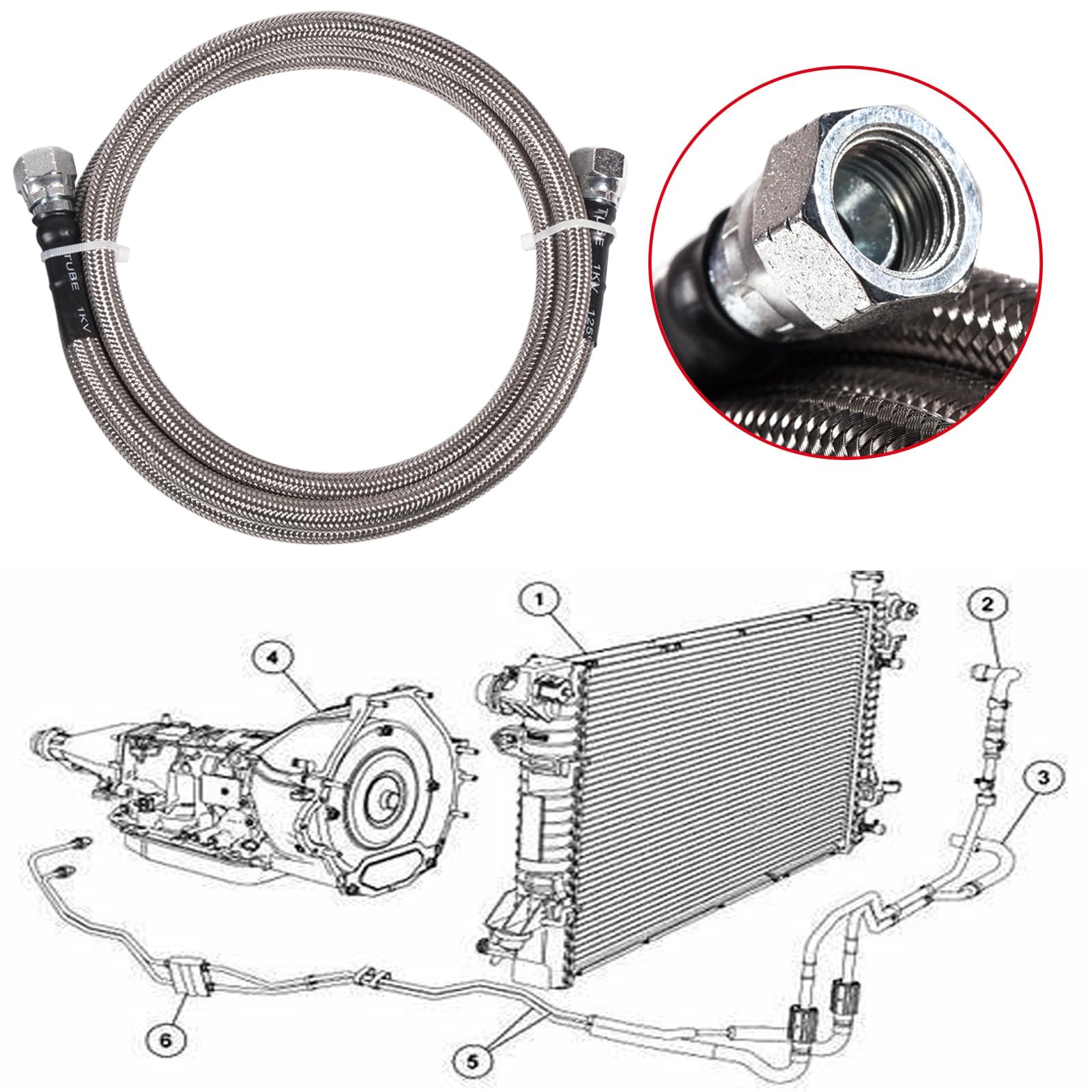 6AN 70″ Transmission 70 inches, Fluid Oil Cooler Hose&Clamp
