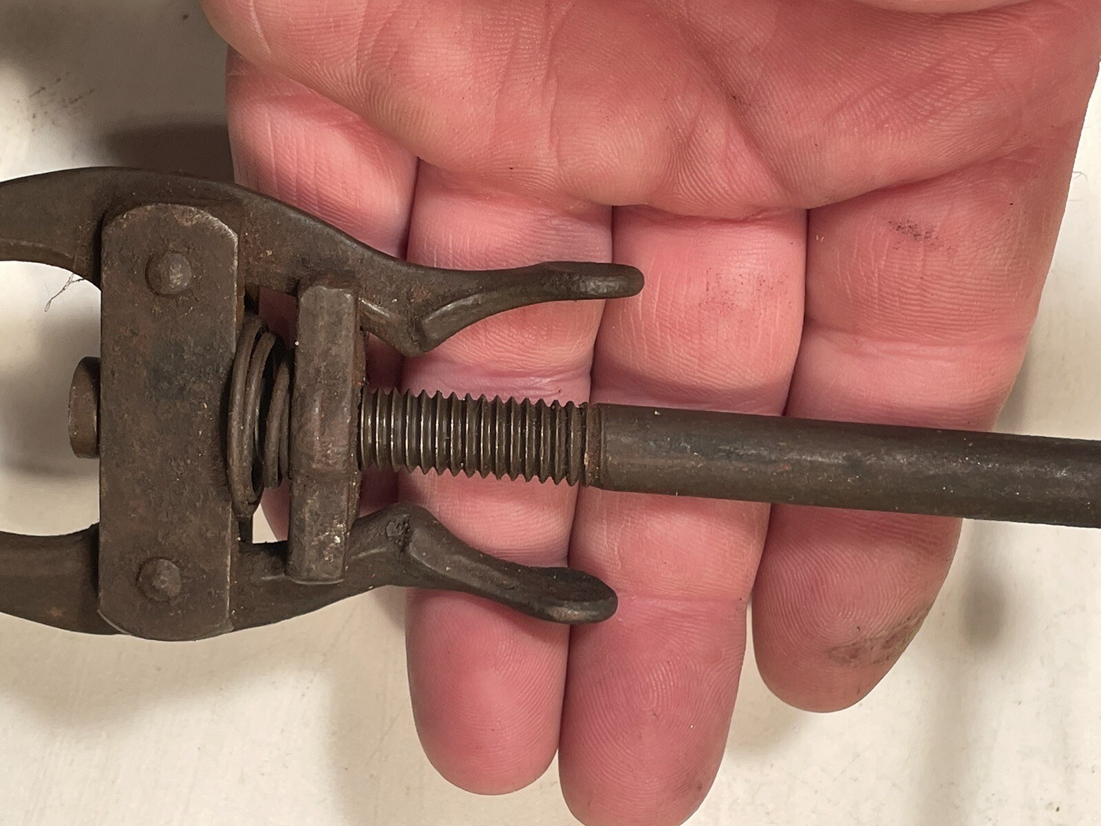 Blue Bird No21 Battery Terminal Puller