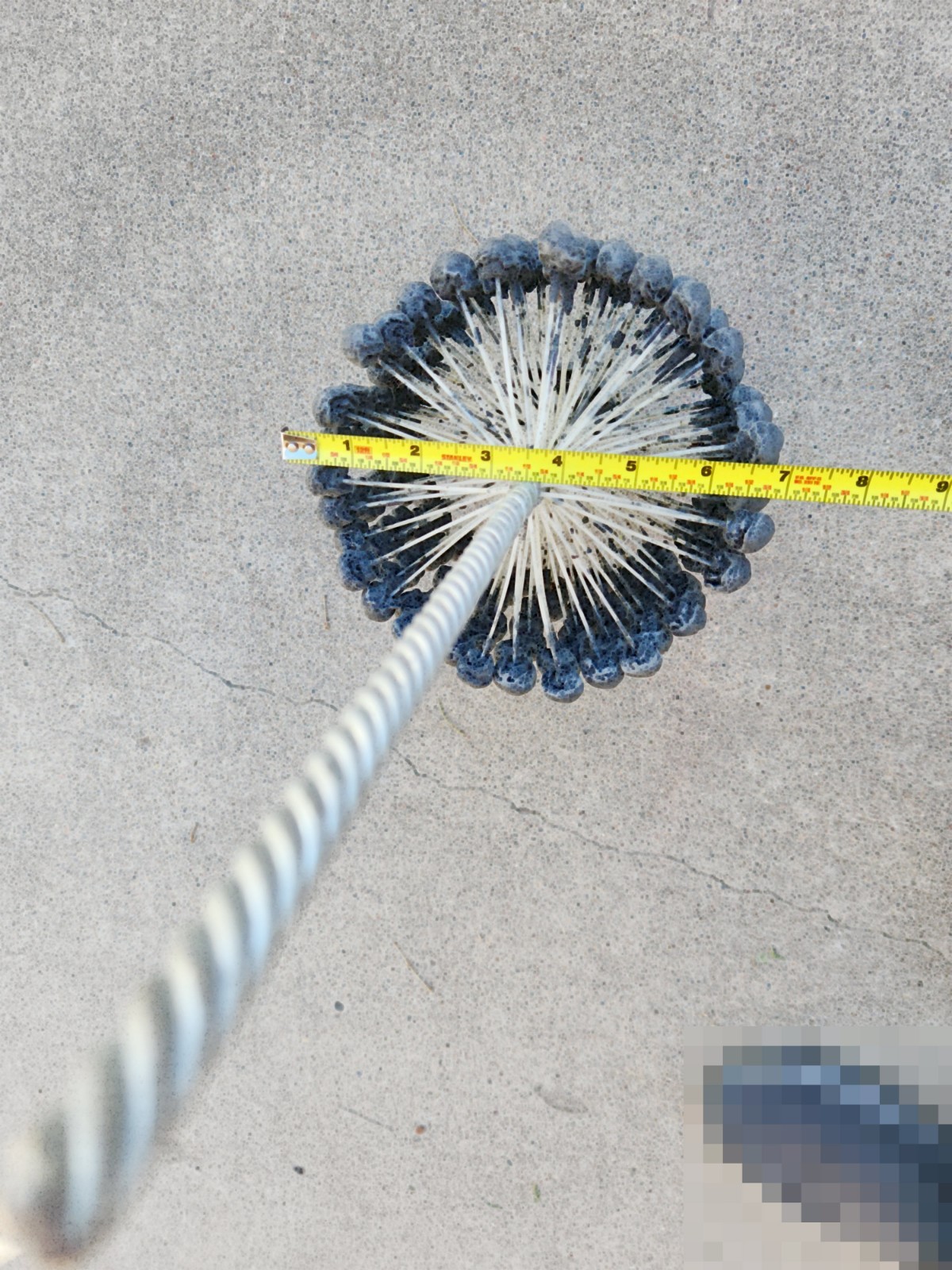 Brush Research Mfg #GBD41218 FLEX-HONE® 4 -1/2»