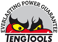 TENG TOOLS 11pc EVA Foam Flat Phillips Pozi Screwdriver Set