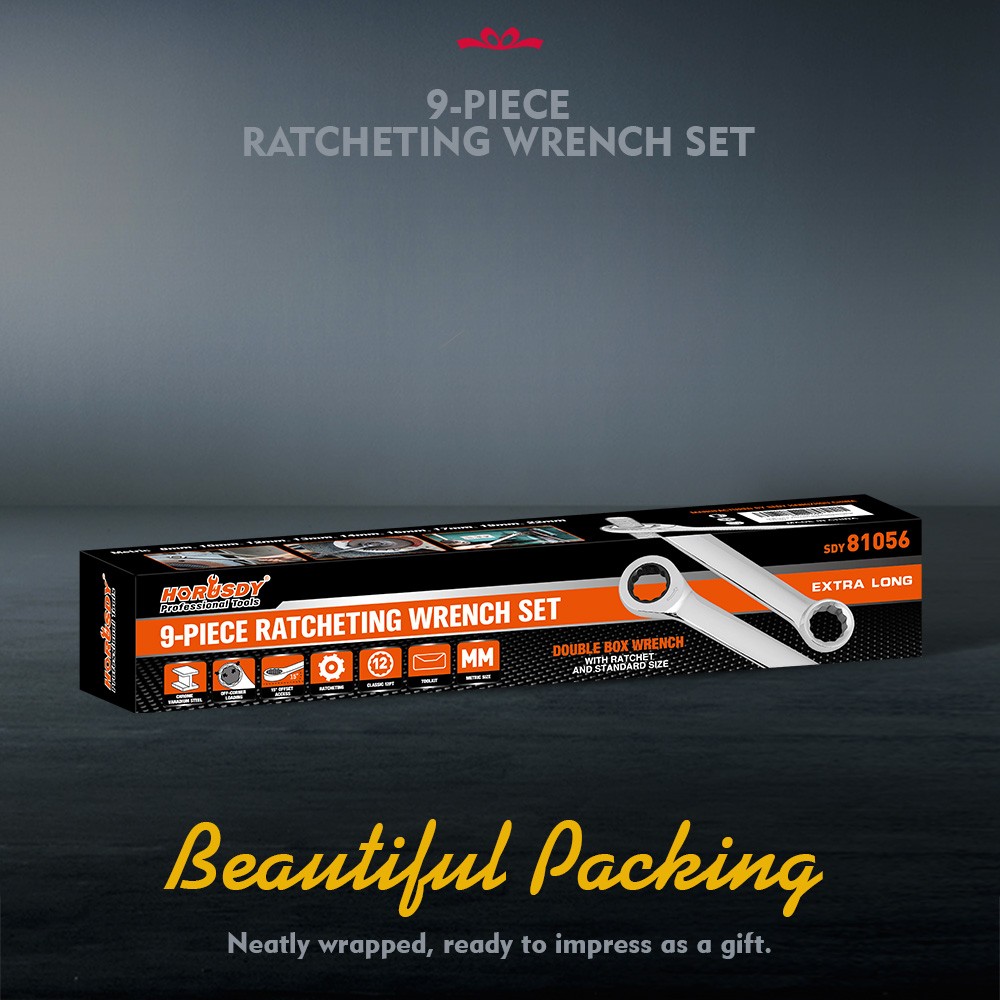 9-Piece Extra Long Ratcheting Wrench Set Double Box End with Bag Metric 8-22mm