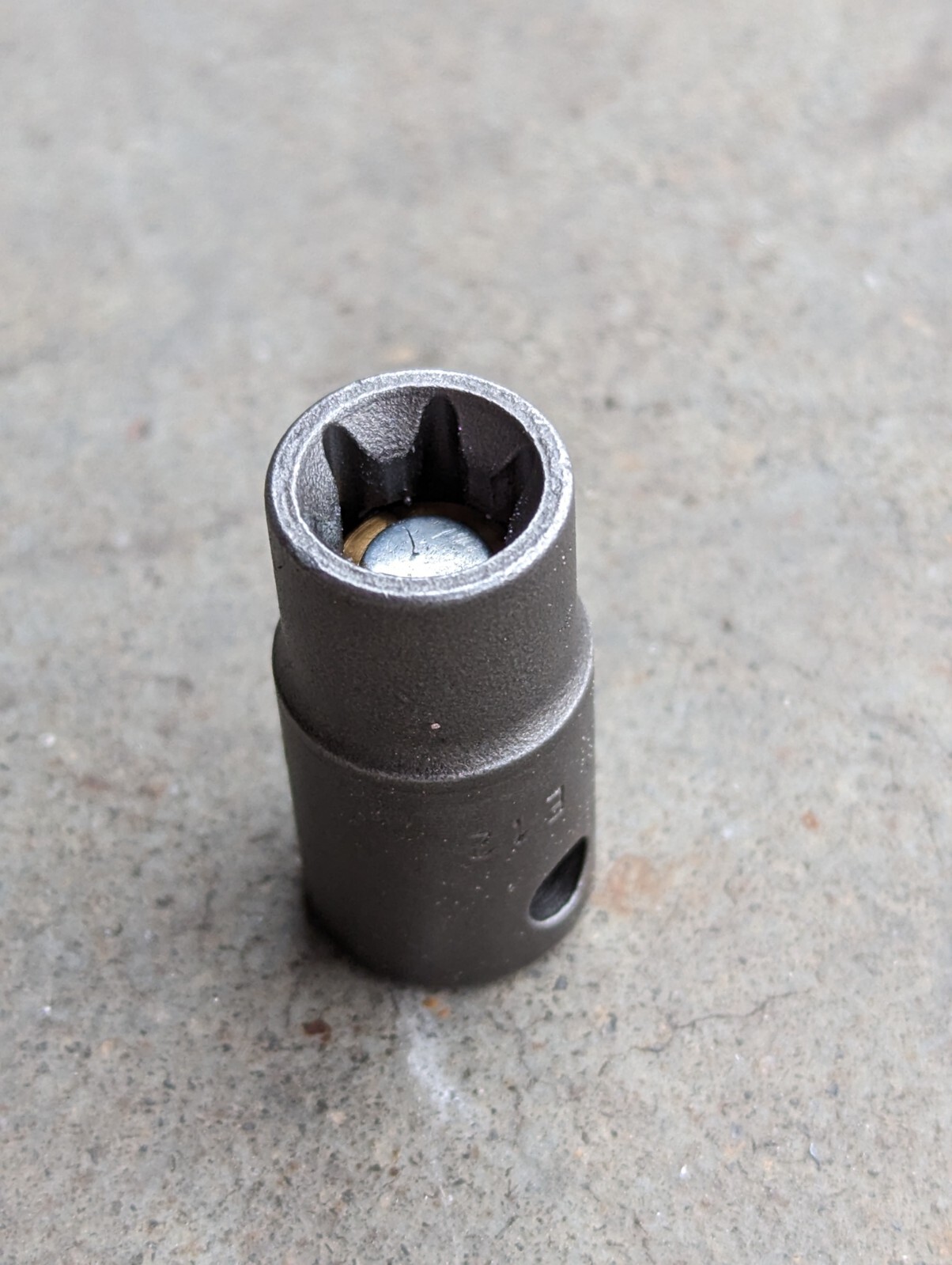 APEX e12 torx external 3/8″ drive magnetic socket MTX-3412