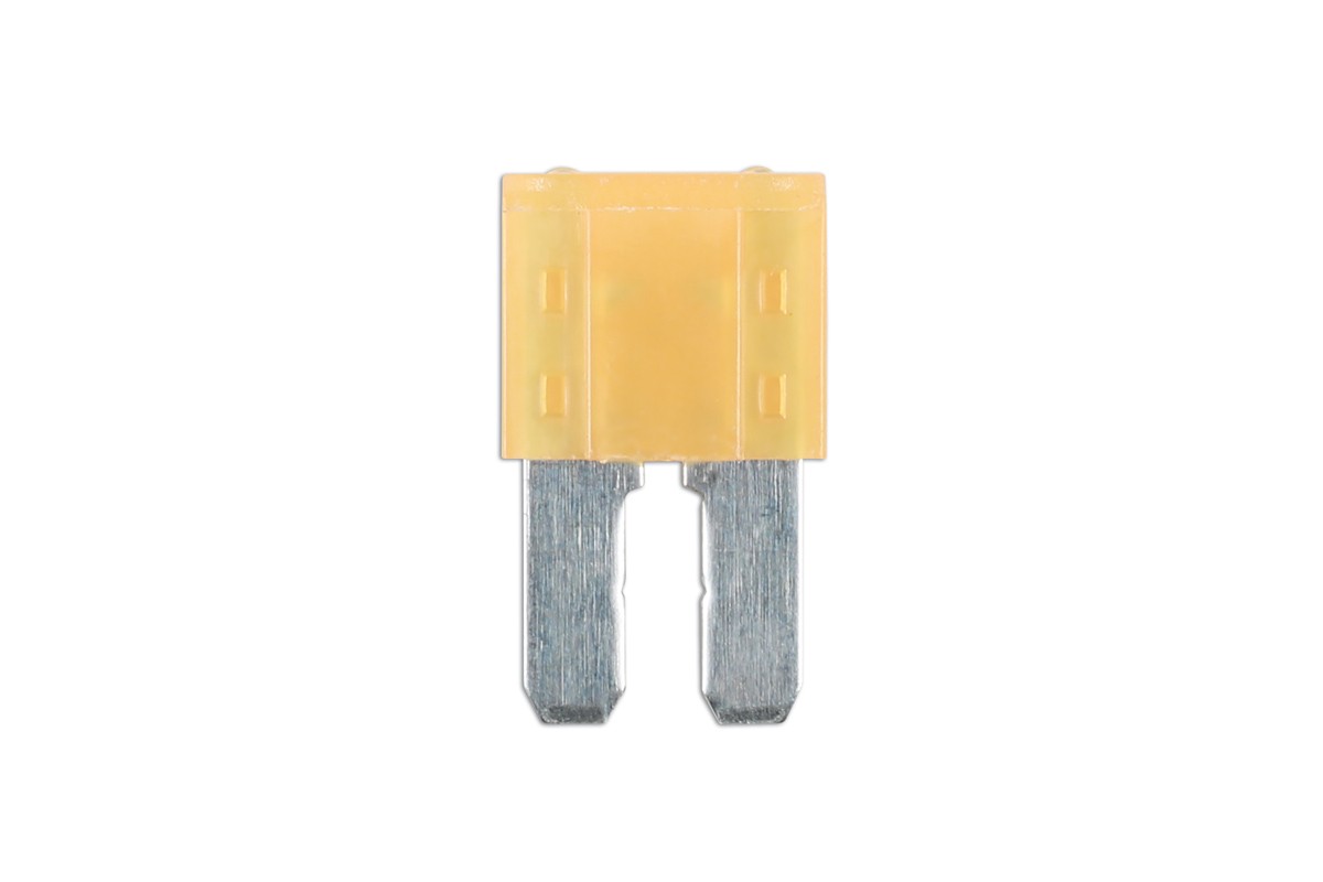 Connect Micro 2 Blade Fuse 5A 25pc 37160
