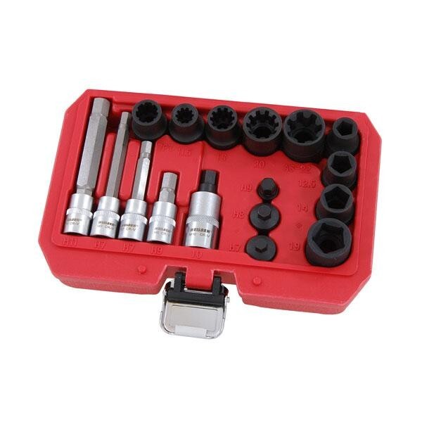 17pc Brake Caliper Bolt Master Socket & Bit Set Merc Bmw Audi Porsche Ford Vw