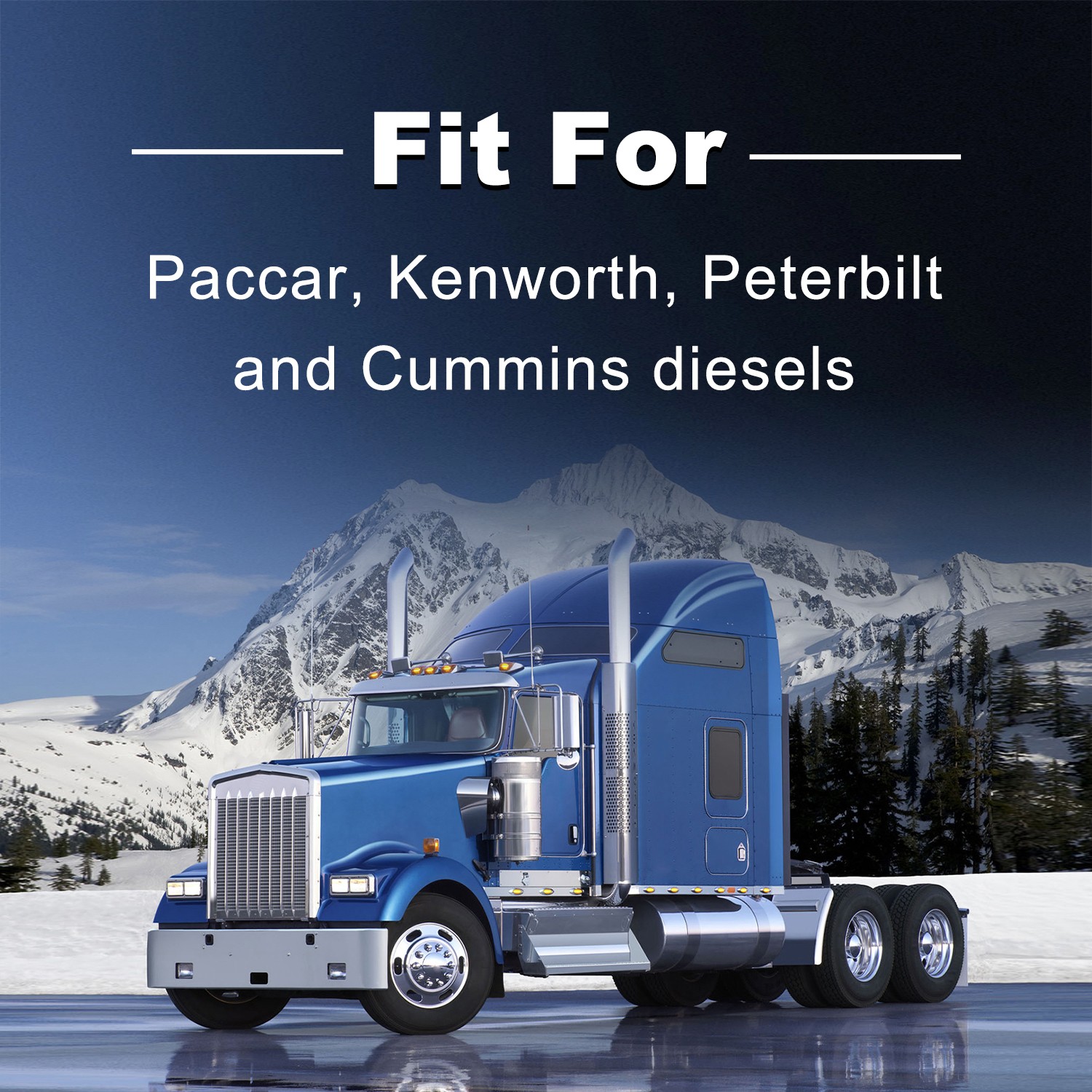 Quality 4.6 Inch Oil Filter Removal Tool for Cummins Paccar Kenworth Peterbilt