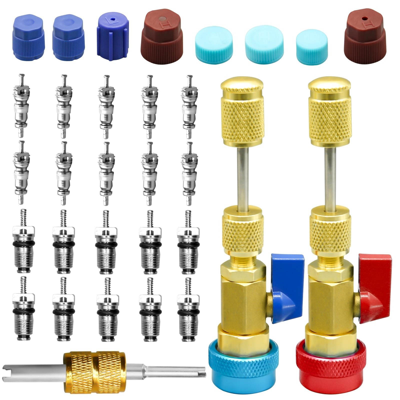 31Pcs R134A Valve Core Remover Installer Tool Kit, AC Service Port Cap & Valve S