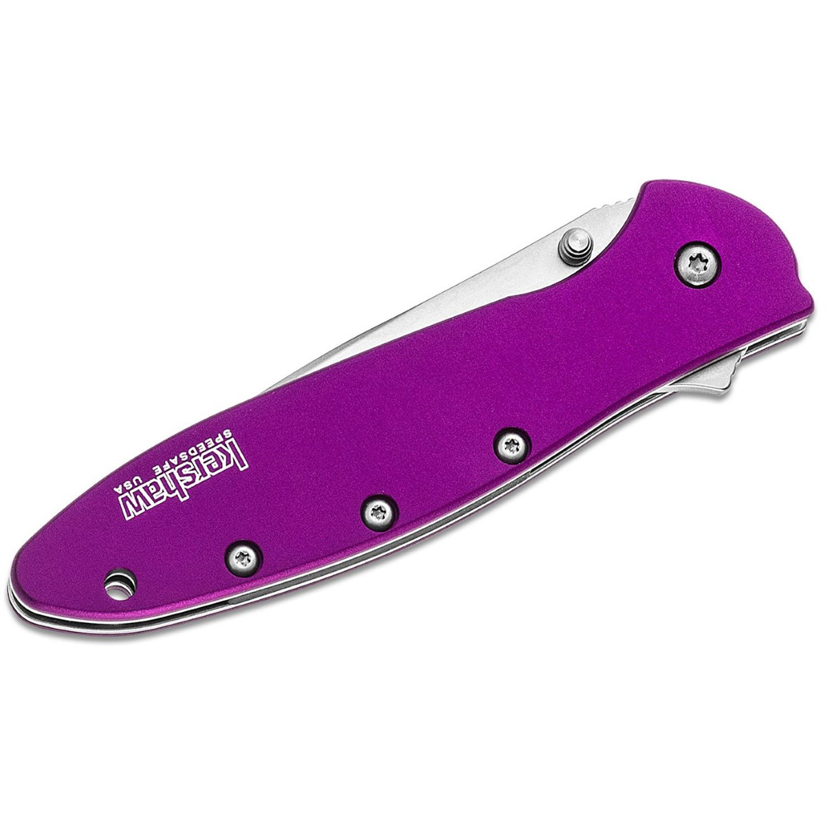 Kershaw Leek Assisted Open Liner Lock Drop Point Blade EDC Folding Pocket Knife