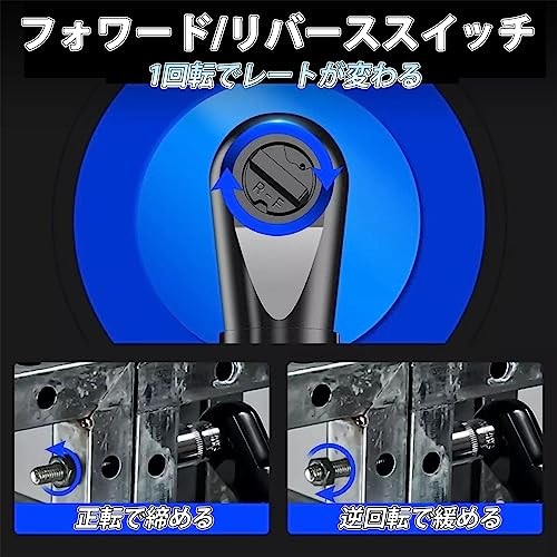 DayPlus Electric Ratchet Cordless 40Nm 1.5Ah 2 Batteries WZ-JLBS-B TI
