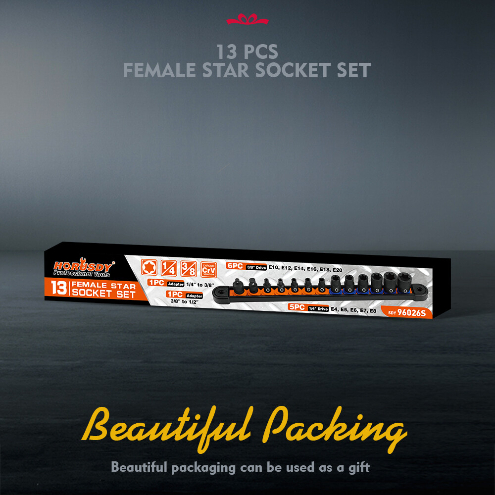 New 13pc Female E Torx Torque Star Socket Bit Set on Snap in Rail E4-E20