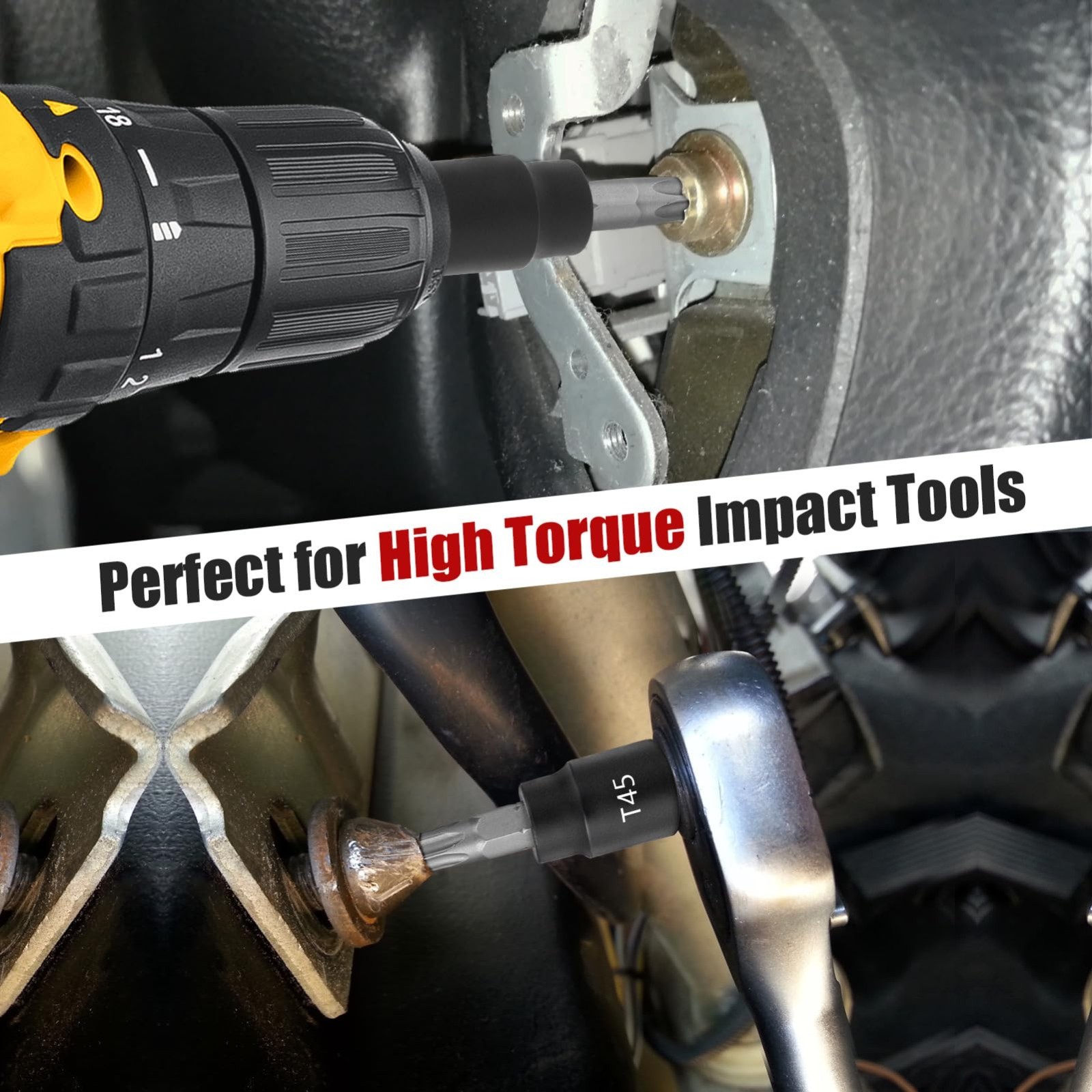 13-Piece Torx Bit Socket Set T8-T60, 1/4” 3/8” 1/2” Drive, S2 Steel & CR-V, Case
