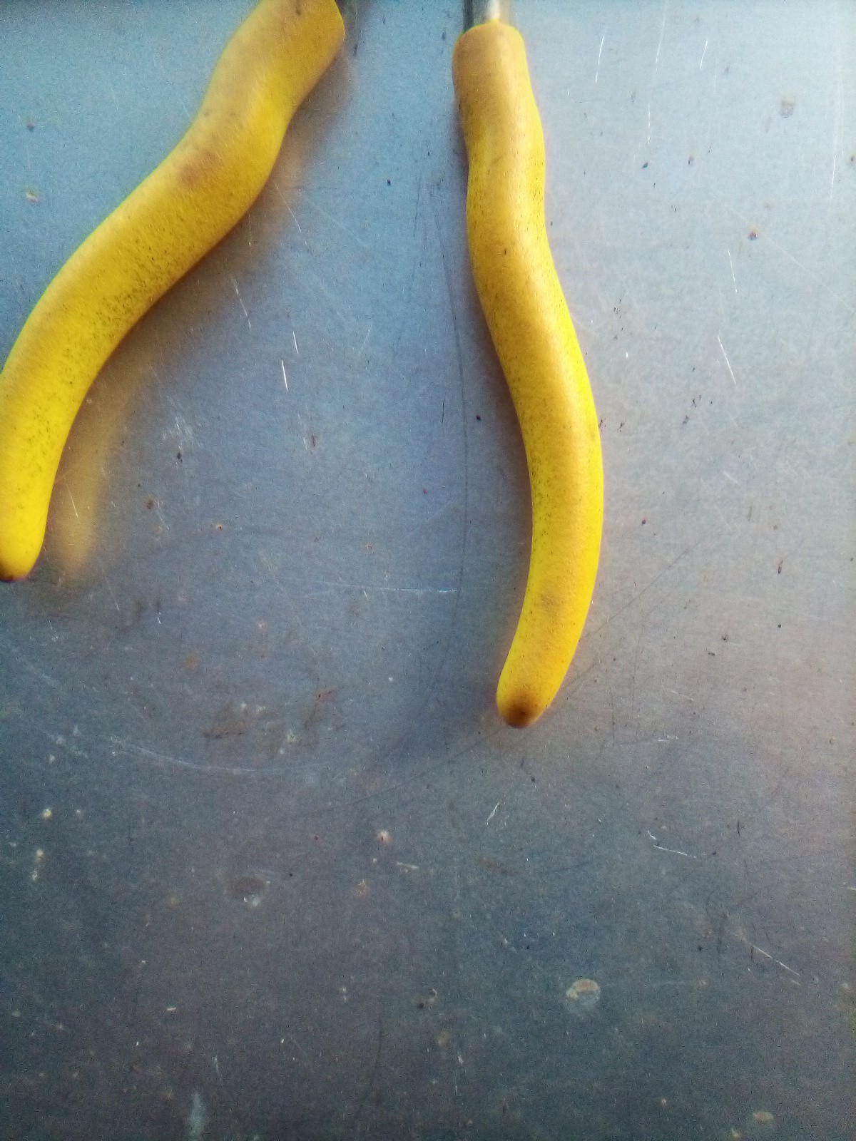 Mac Tools P6TNN-Y Needle Nose 7 In Yellow Handle Pliers Lot 1019