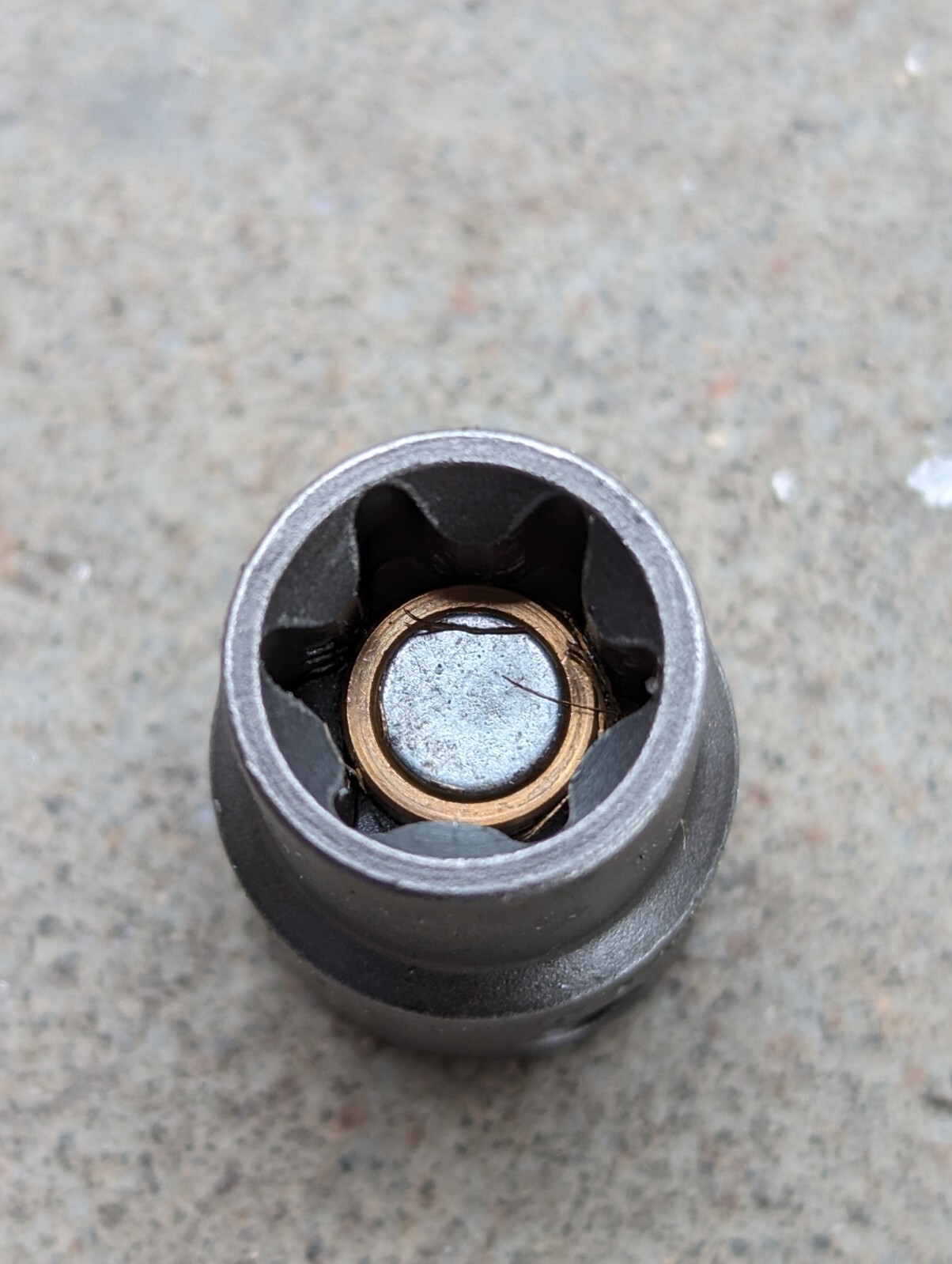 APEX e14 torx external 3/8″ drive magnetic socket MTX-3414