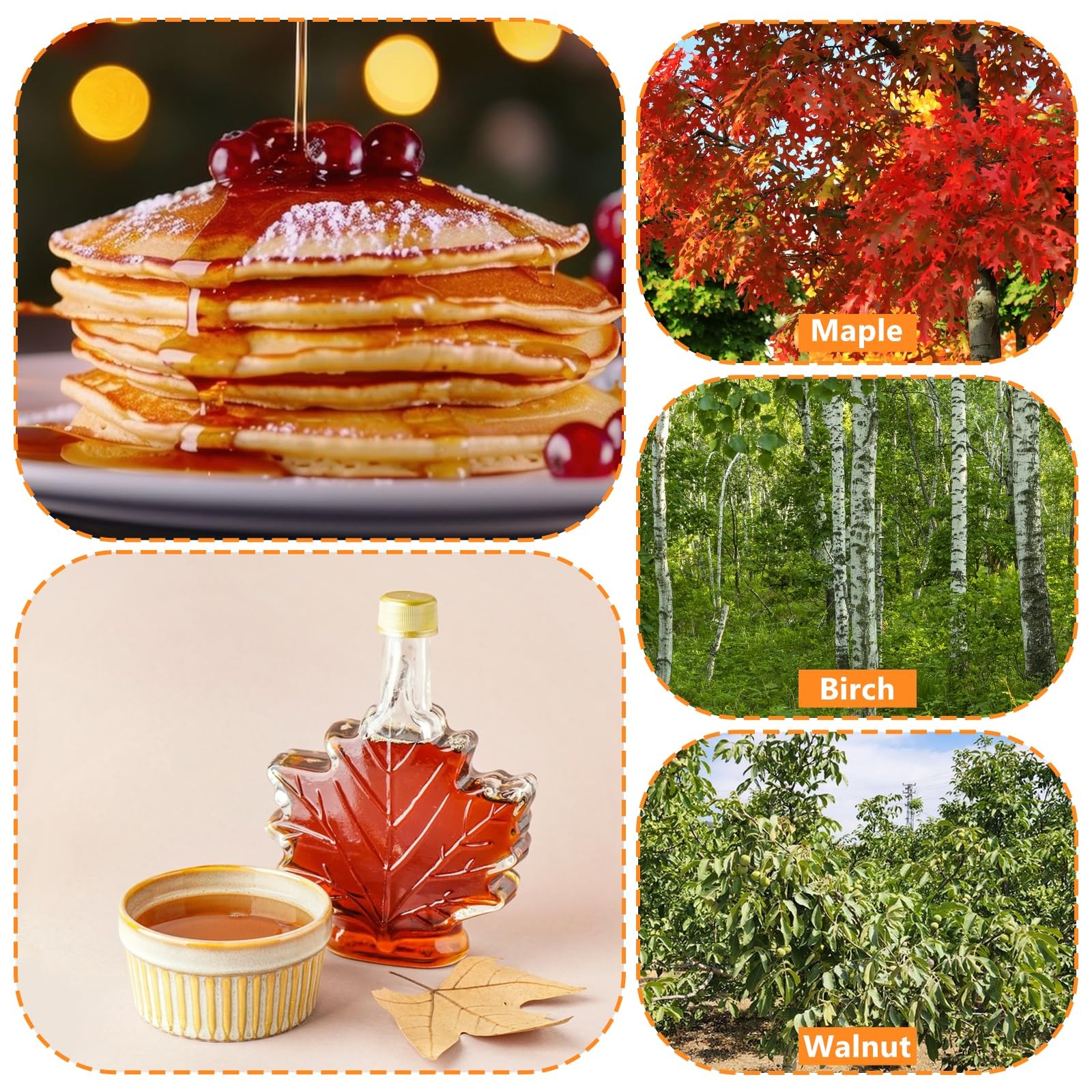 15 Sets Maple Syrup Tree Tapping Kit with Large 8L Collection Bags, 35″ Tubin…
