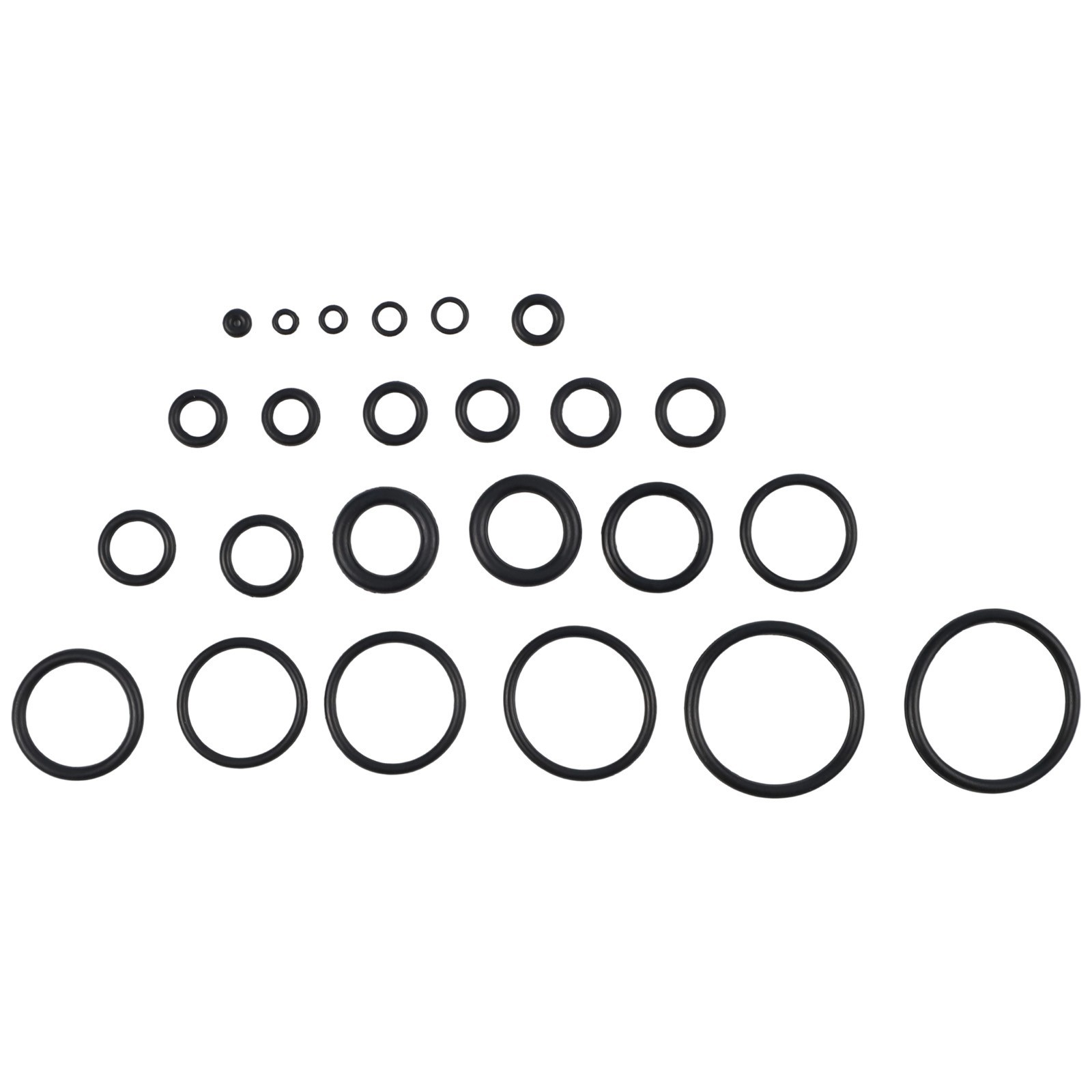 Organized 1020pcs O Rings with Plastic Storage for Easy Identification