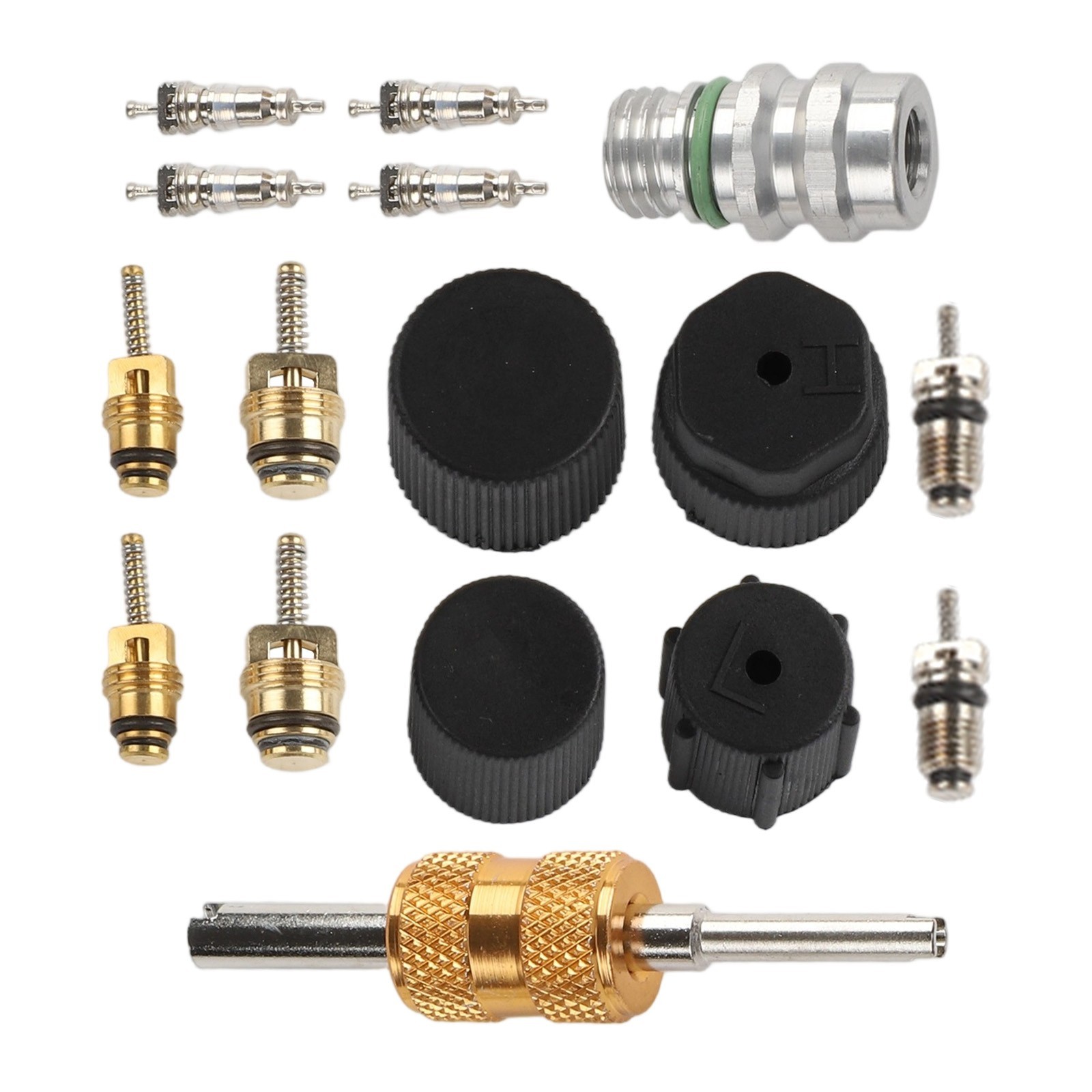 Complete AC Valve Core Kit for R12 For R134a Systems with Installation Tools