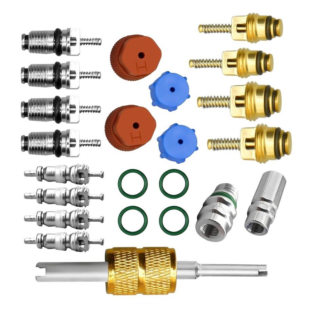 23PC Automotive AC Valve Core and Cap Kit Compatible with R12 R134a Systems