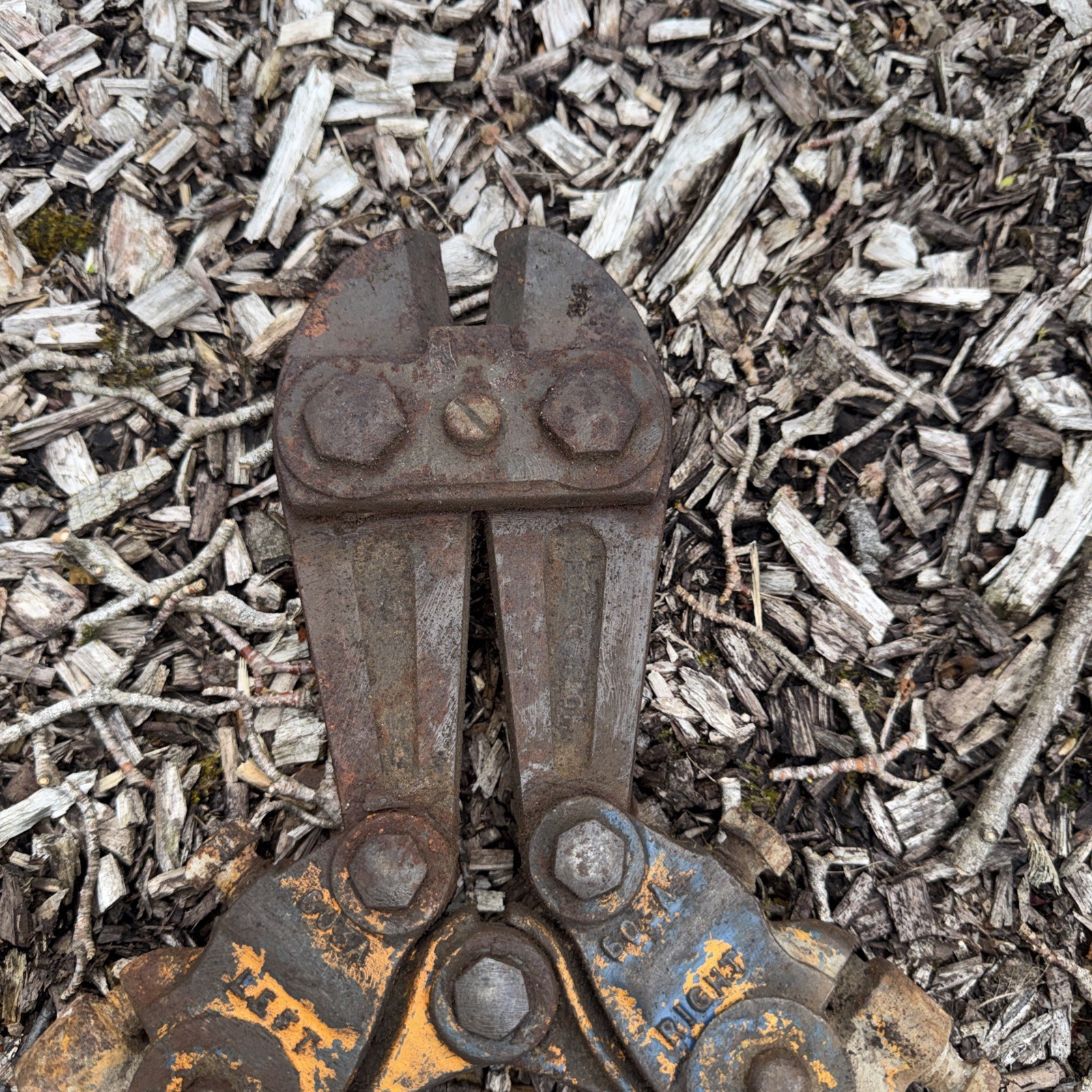 RECORD number 603A Bolt Croppers/Clipper.