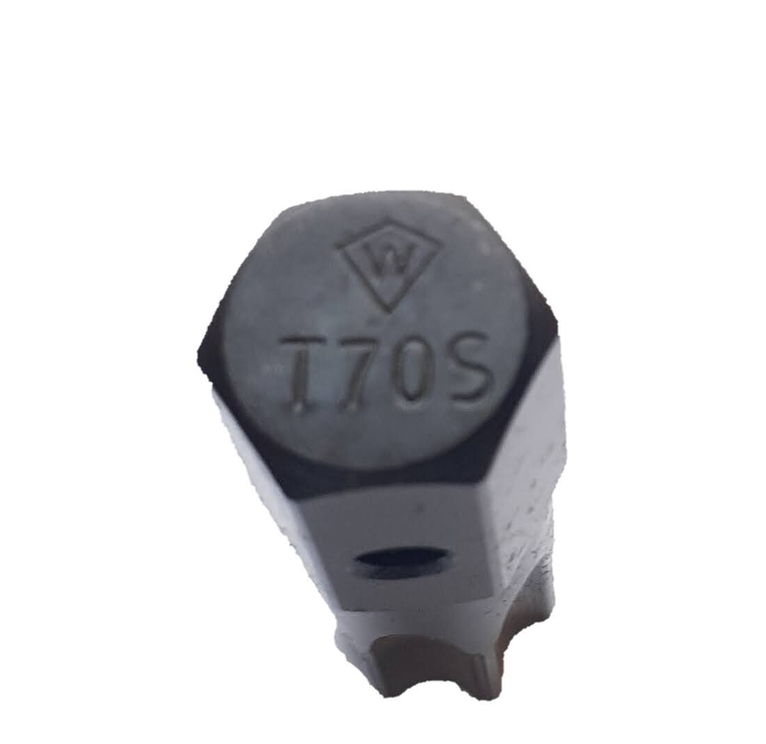 White-USA T70S TORX BIT, REPLACEMENT BIT FOR E3270-S, T70 TORX BIT