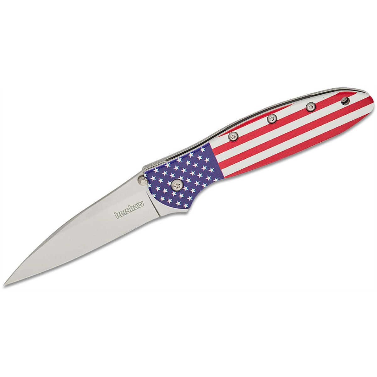 Kershaw Leek Assisted Open Liner Lock Drop Point Blade EDC Folding Pocket Knife