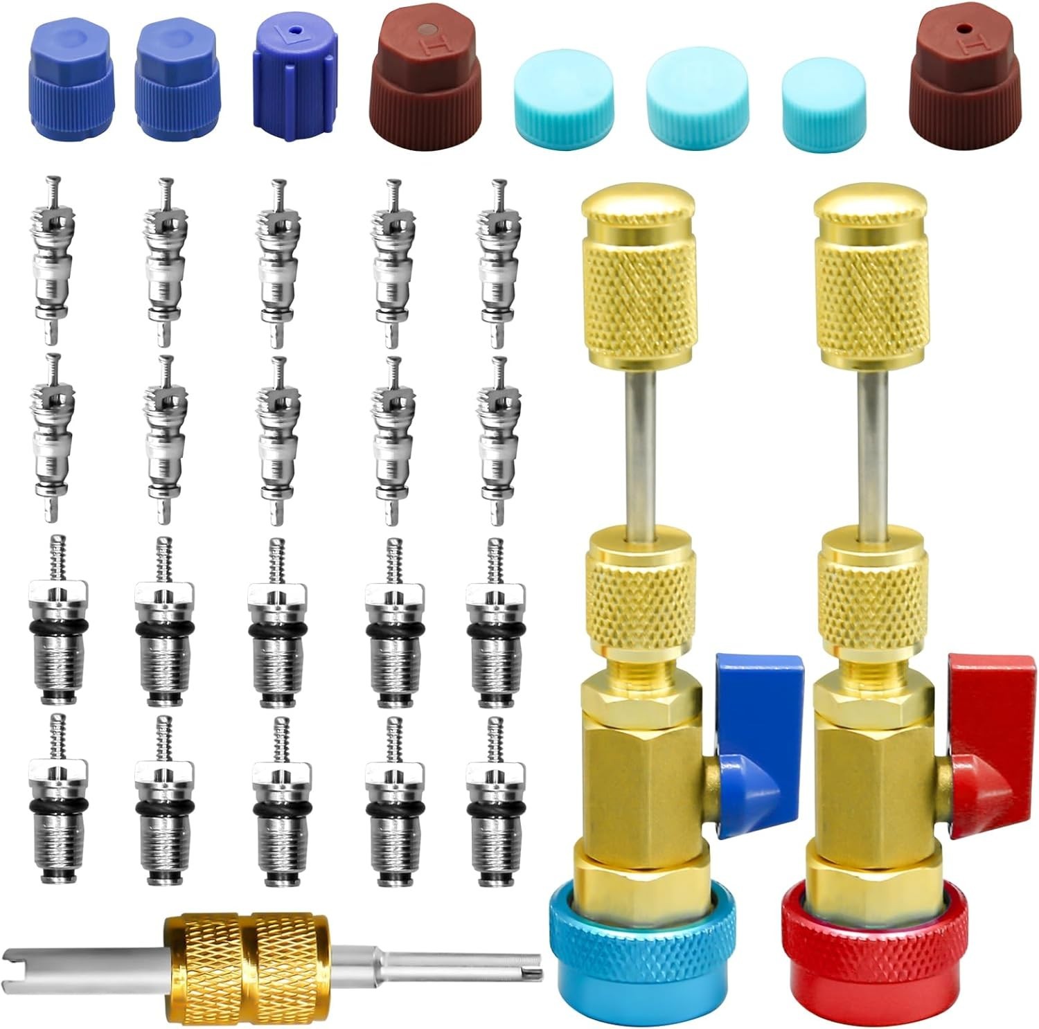 31Pcs R134A AC Valve Core Removal Tool Set, Quick Installer for High/Low Pressur