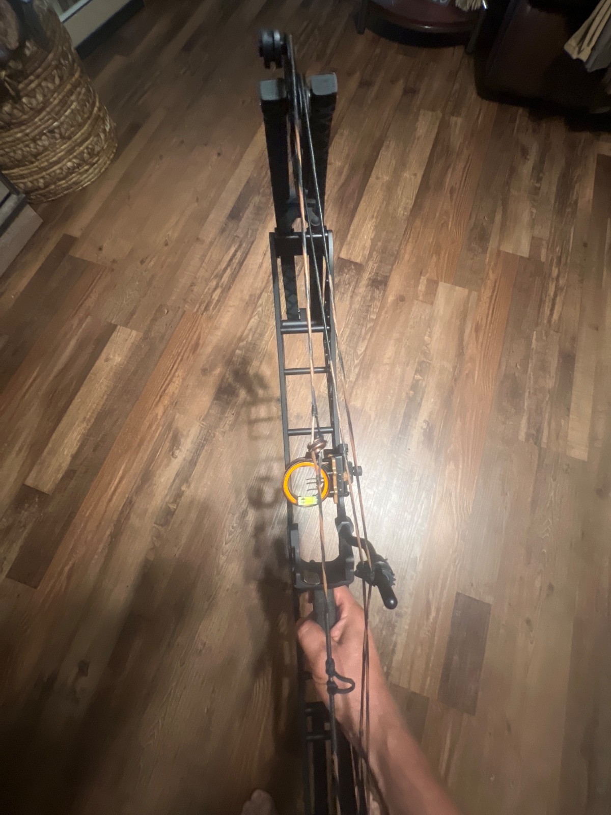 Gearhead Achery T30 aluminum compound hunting bow.