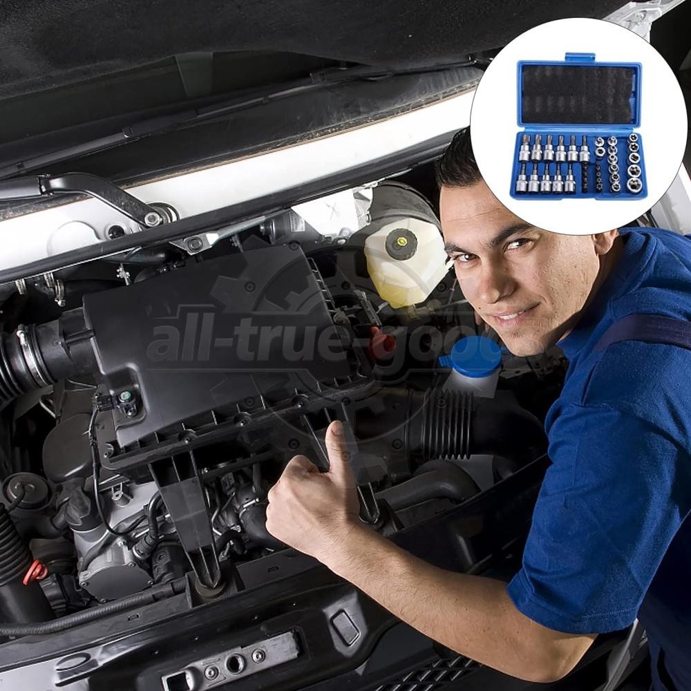 34Pcs Drive Male Female Torx Star Bit Socket E-socket Set Handheld Tool Case US