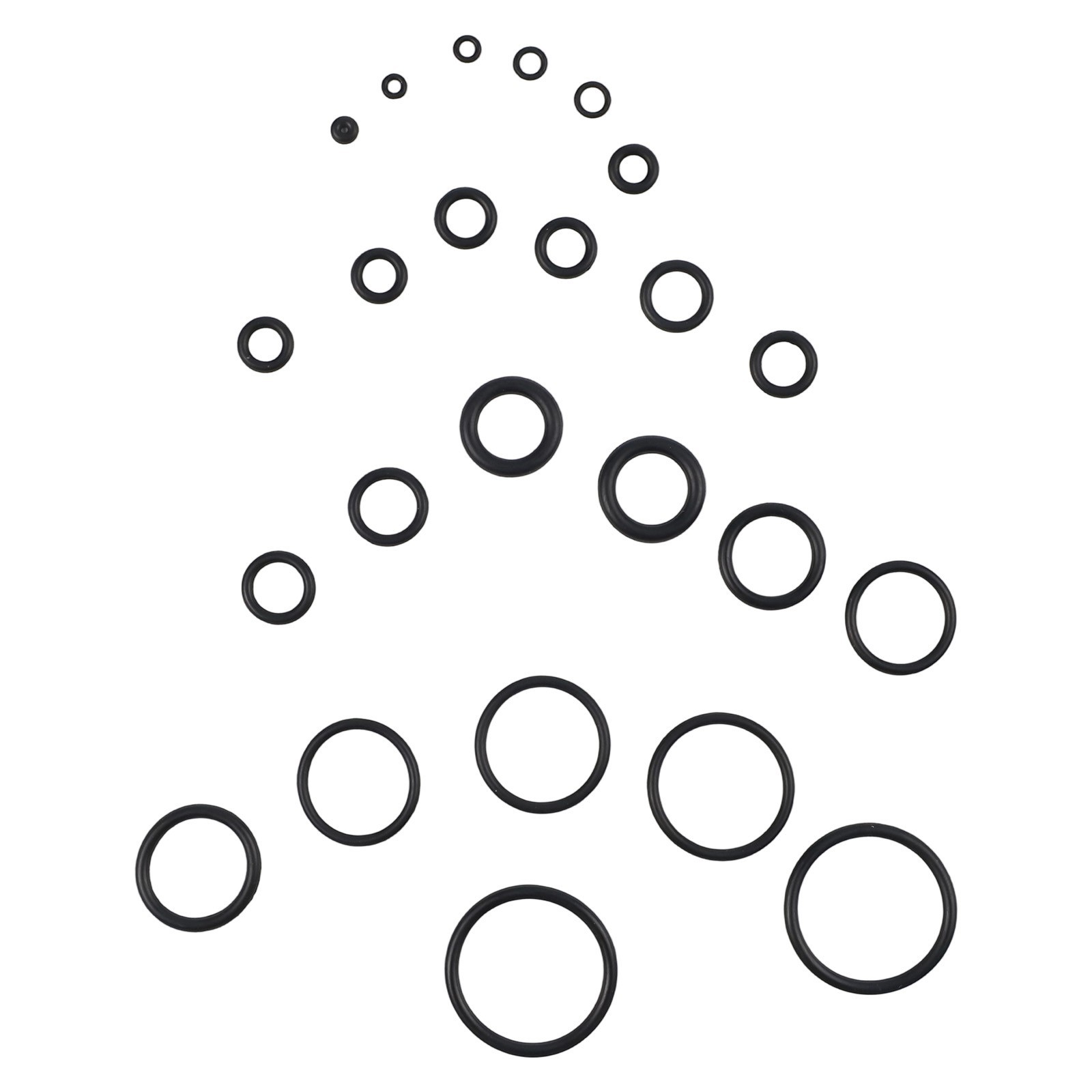 Organized 1020pcs O Rings with Plastic Storage for Easy Identification