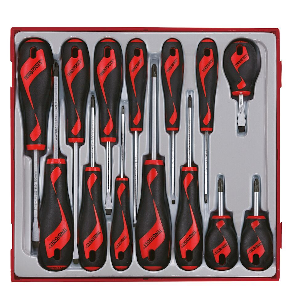 Teng Screwdriver Set 14 Piece in TT2 Tray, Slotted / Phillips / Pozi – TTD914N
