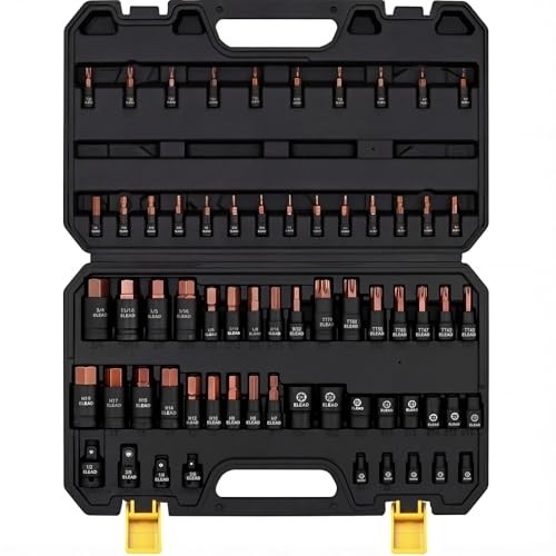 66-Piece Torx & Hex Bit Socket Set, CR-V & S2 Steel, T8-T70 E4-E24, High Torque,