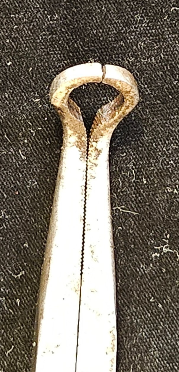 MAC TOOLS – P161MG – PYTHON 15.5″ LONG REACH GRIPPING Hose PLIERS