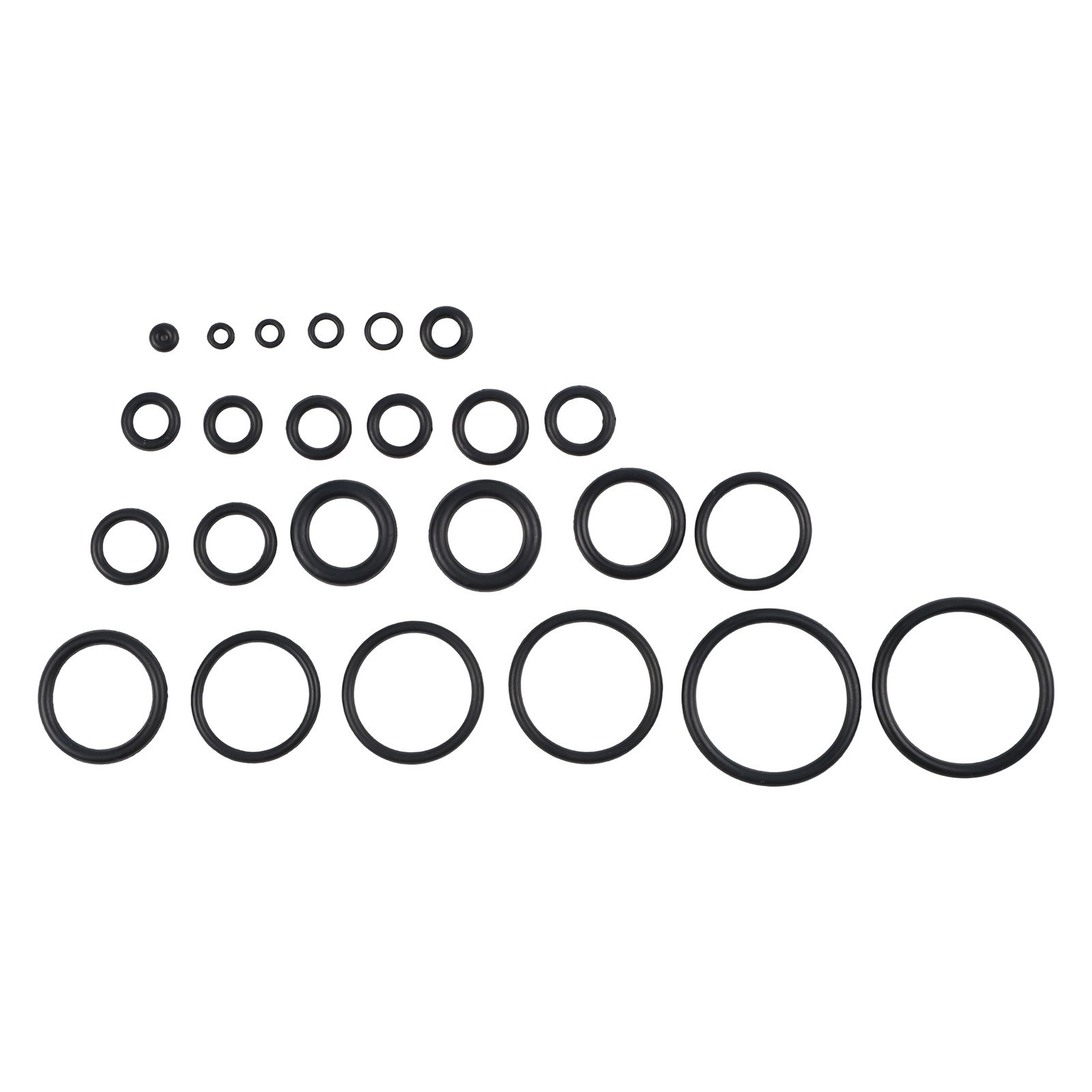 Organized 1020pcs O Rings with Plastic Storage for Easy Identification