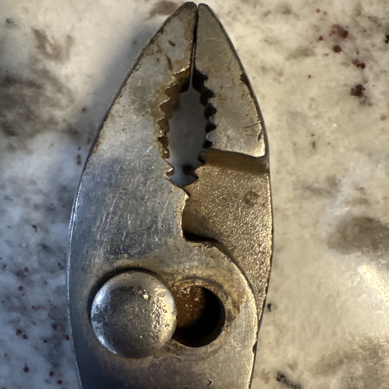 Klein Tools Slip Joint pliers 511-8 (N3)