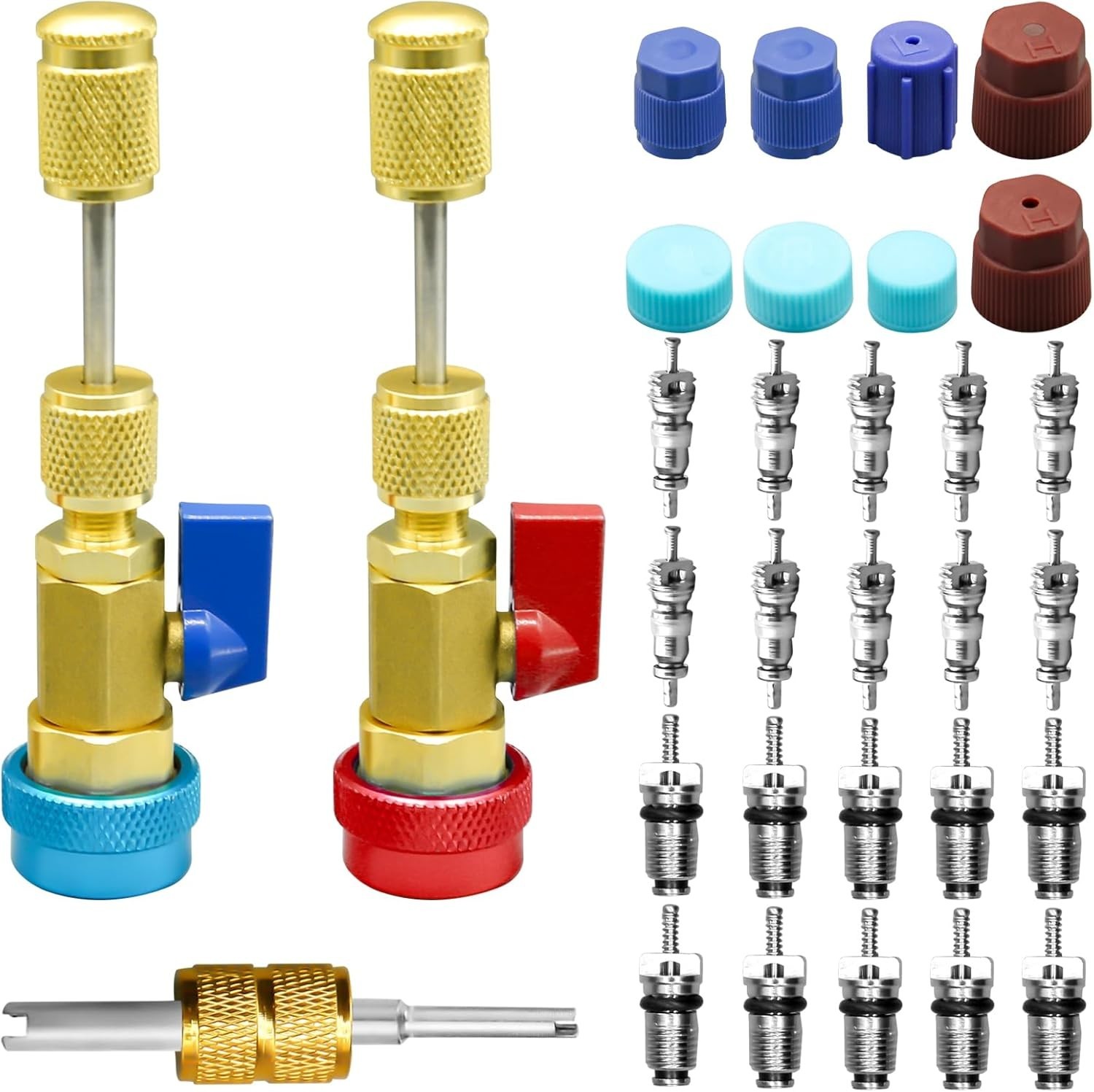 31Pcs R134A AC Valve Core Removal Tool Set, Quick Installer for High/Low Pressur