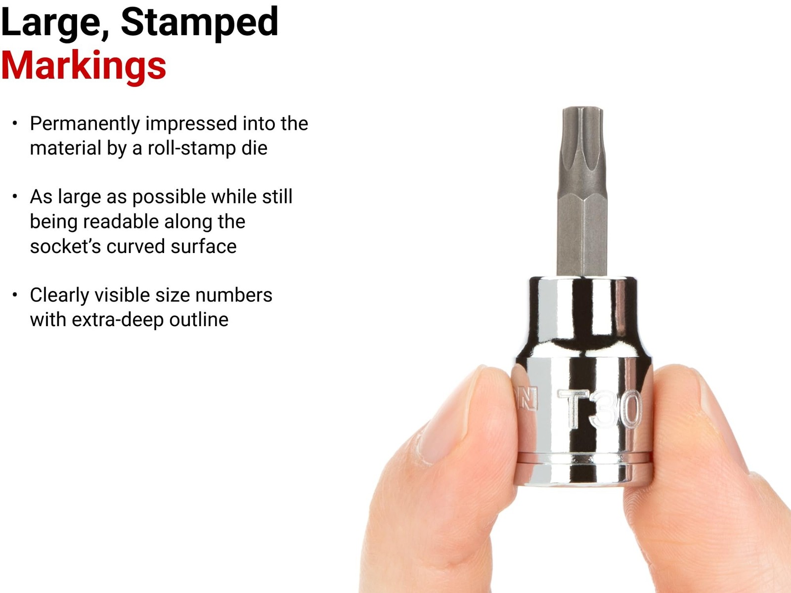 TEKTON 3/8 Inch Drive Torx Bit Socket Set with Rail, 12-Piece (T10-T60) | SHB…