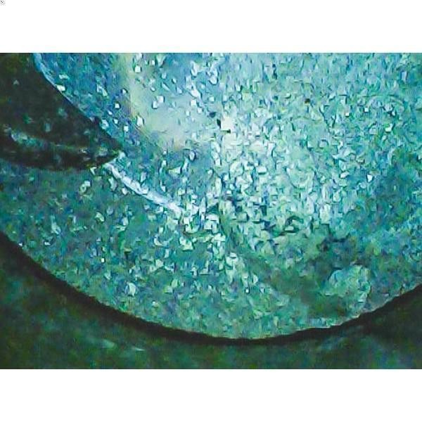 Video Endoscope VIGOR V7500/2
