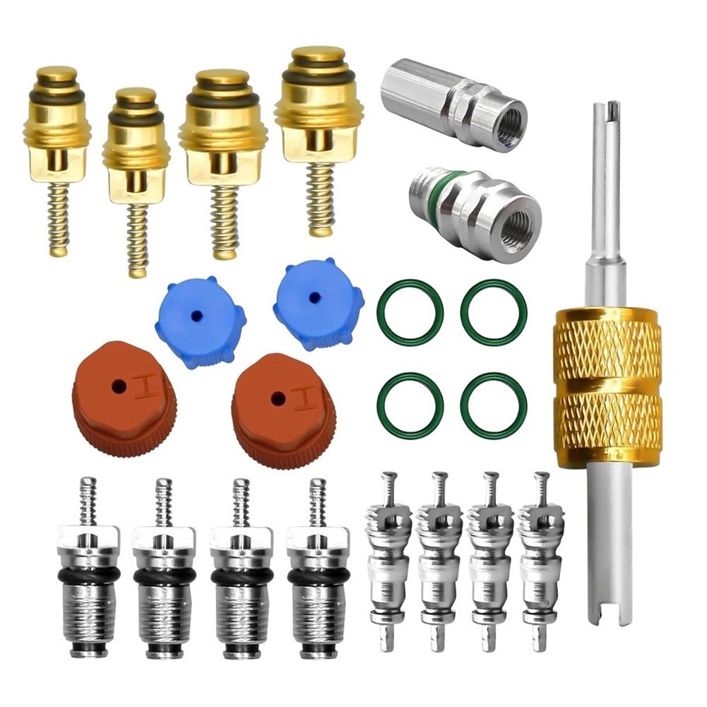 23PC Automotive AC Valve Core and Cap Kit Compatible with R12 R134a Systems