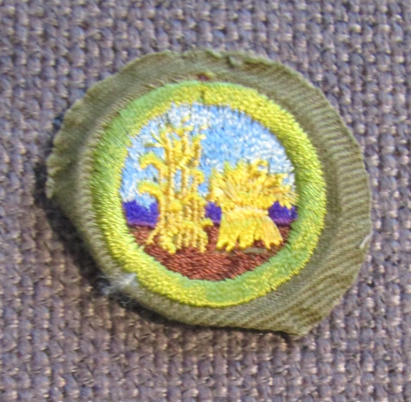 1937-1961 Boy Scouts of America Khaki Narrow Crimped Merit Badge