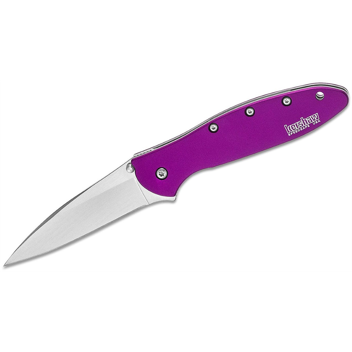 Kershaw Leek Assisted Open Liner Lock Drop Point Blade EDC Folding Pocket Knife