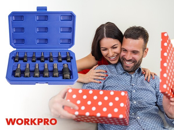 WORKPRO 13PC Torx Bit Socket Set 1/4″ 3/8″ 1/2″ Drive T8-T60 Torx Bit Socket Set
