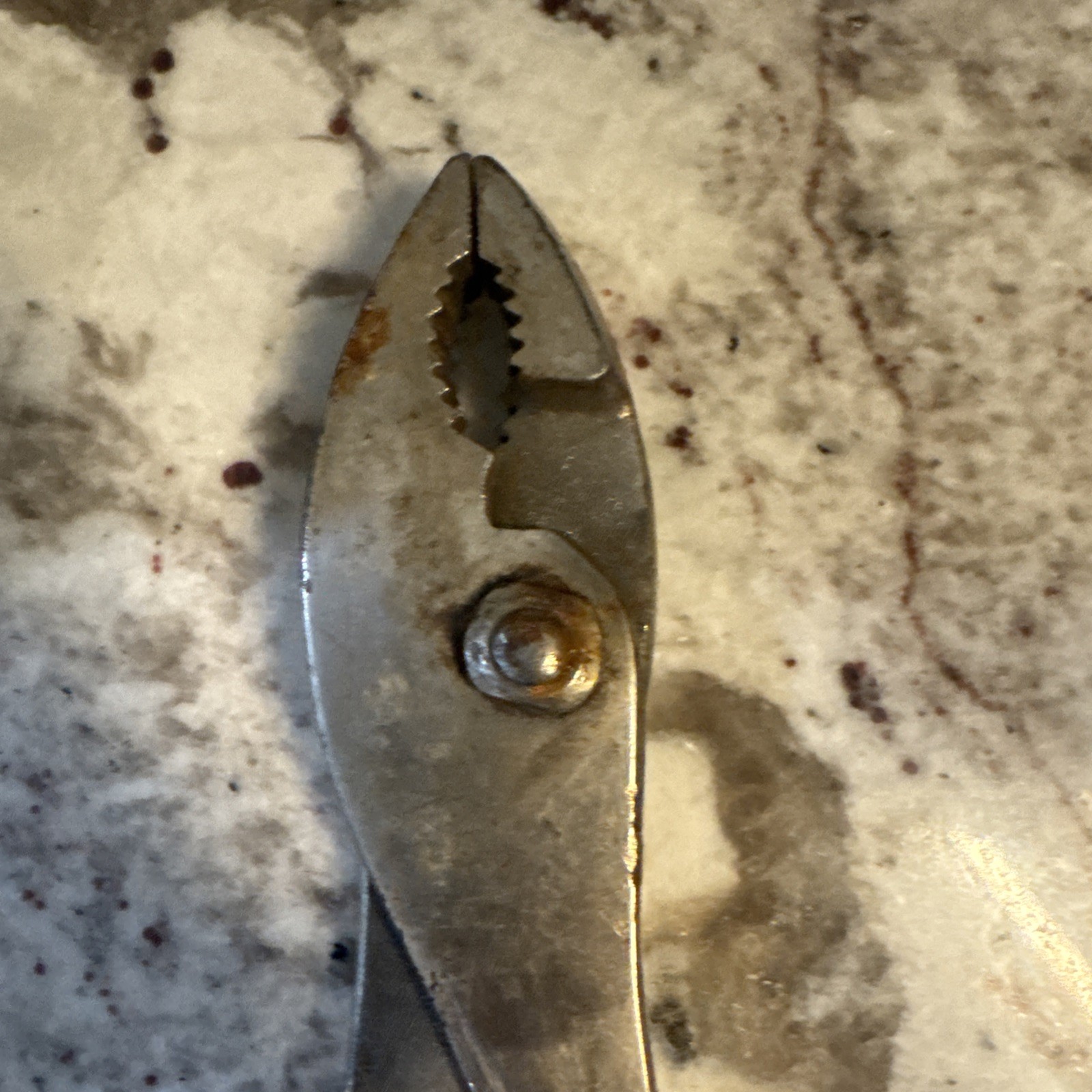 Klein Tools Slip Joint pliers 511-8 (N3)