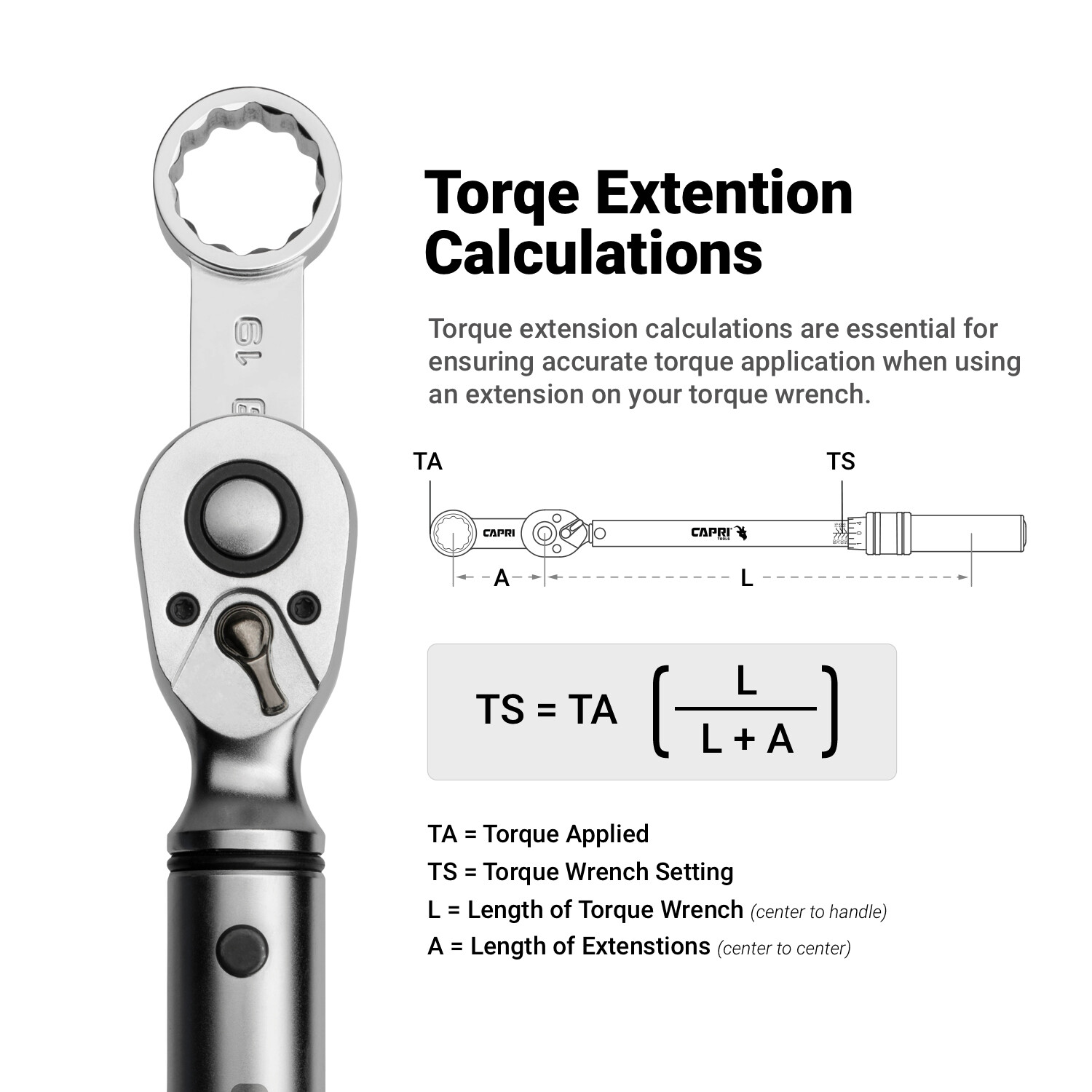 Capri Tools 3/8 in. Drive Torque Adapter Set, 12-Point Box End, Metric, 10-Piece