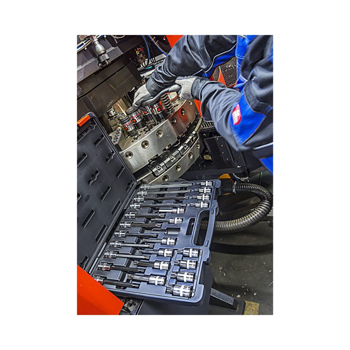 V1918 VIGOR Socket